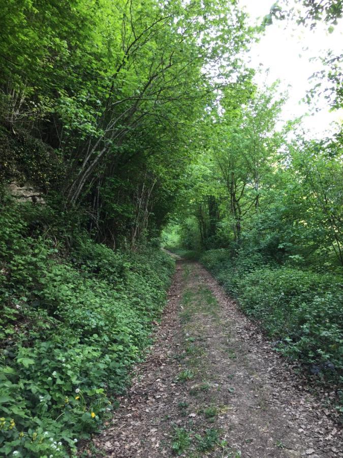 Gite Des Reculees Ladoye-sur-Seille ภายนอก รูปภาพ