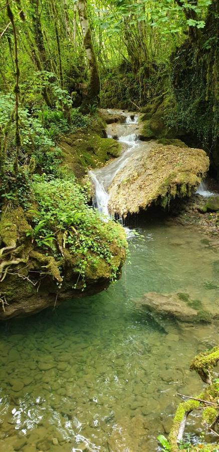 Gite Des Reculees Ladoye-sur-Seille ภายนอก รูปภาพ